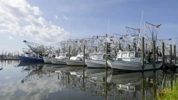 La tormenta tropical Bertha tocará tierra este miércoles en Luisiana, sur de EE. UU.