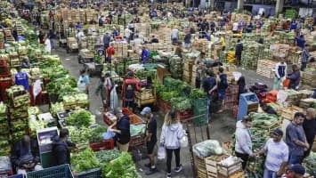 El 52,7 % de las exportaciones de Brasil a EEUU quedan exentas de los nuevos aranceles