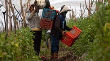 Honduras prohíbe la importación de mercancías producidas con trabajo forzoso