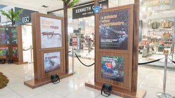 Barrick revela grandes tesoros naturales ocultos en la Cordillera Central