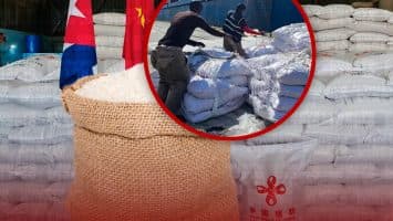 Cuba recibe de China un nuevo donativo de 15.000 toneladas de arroz