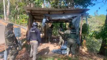 Recuperan 496 tareas ocupadas ilegalmente en áreas protegidas