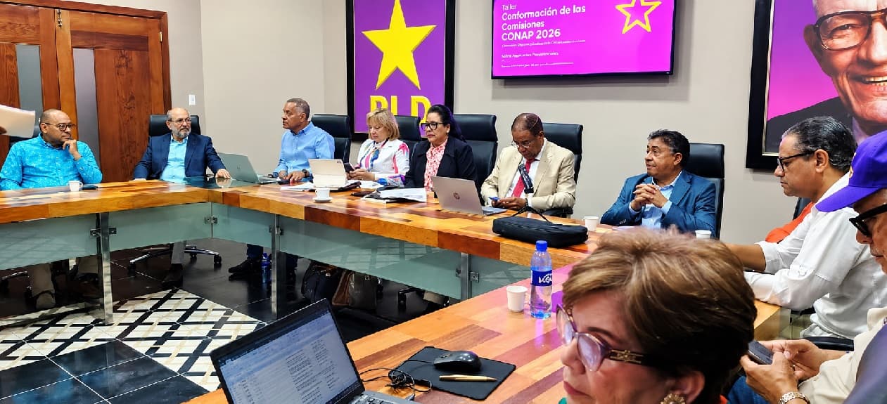 PLD avanza en organización de consulta para escoger su aspirante presidencial
