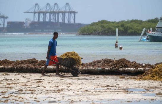 Boca Chica resiste la temporada de sargazo gracias a jornadas de limpieza, aseguran trabajadores