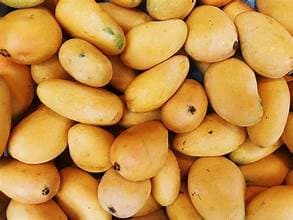 Agricultura confirma Estados Unidos suspendió la importación de mangos desde República Dominicana; llevaba tres años haciendo advertencia