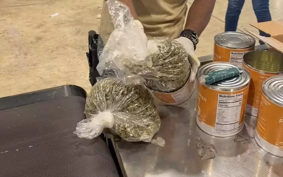 Agentes de la DNCD incautan en el AILA ocho paquetes y latas llenas de marihuana