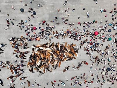 Los toros de la Virgen: siglos de fe, tradición y devoción popular