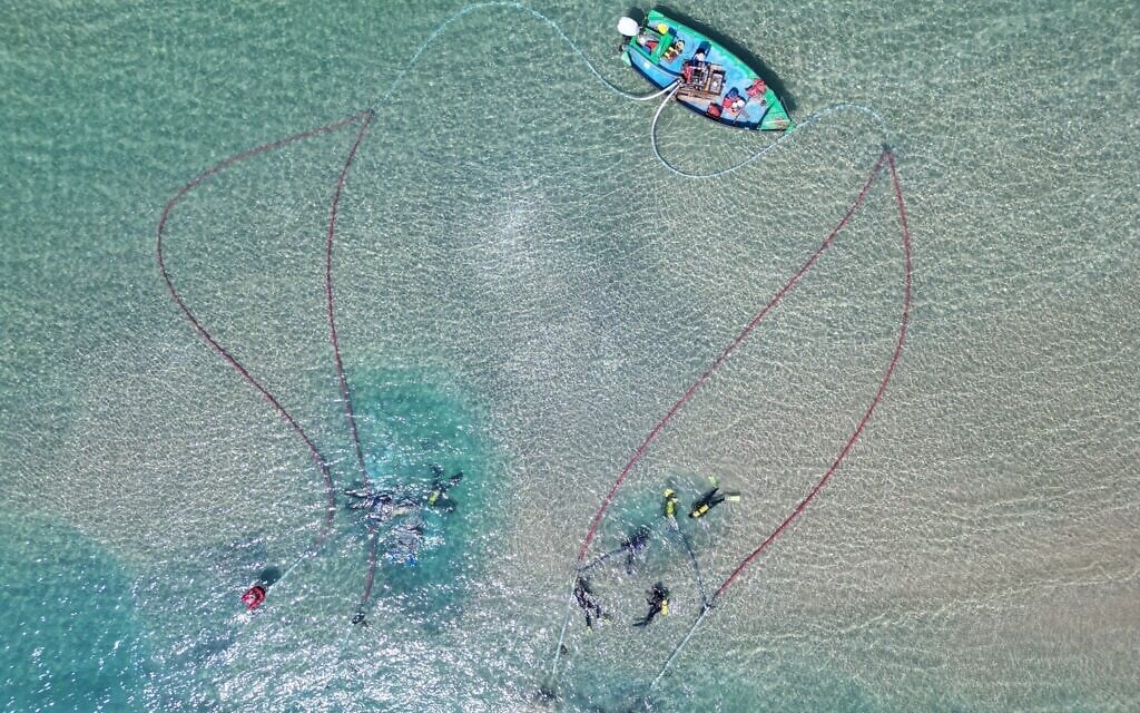 Naufragio de 2,600 años revela el cargamento de hierro crudo más antiguo conocido